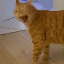 А***й