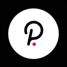 P***t