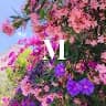 m***r