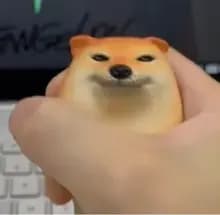 S***a