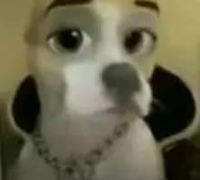 V***o