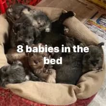 M***b