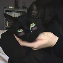 V***h
