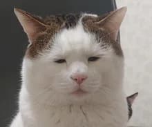 k***r