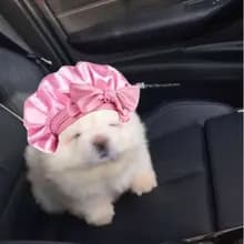 L***s
