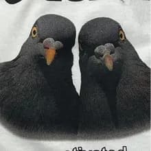 А***о