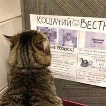 С***ч