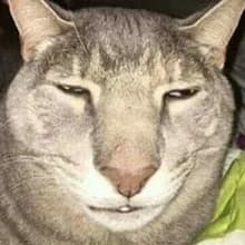 k***x