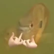 M***i