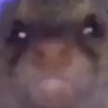 J***j