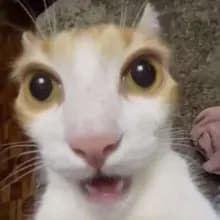 R***E