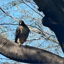 s***r