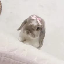 k***ɞ
