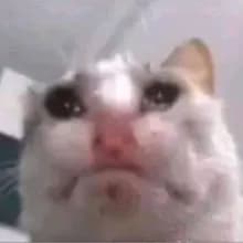T***a