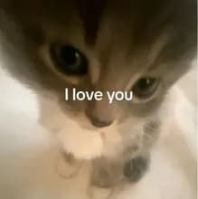 y***r