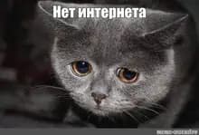 С***й