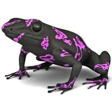 R***o