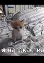 З***а