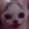 a***r