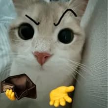 e***a