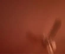R***a
