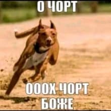 З***а