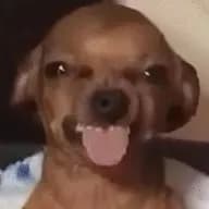 A***s