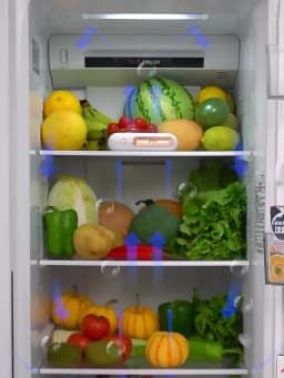Refrigerator Deodorization Automobile Household Ozone Disinfection Deodorizer Sterilization And Fresh Keeping Home Air Purifier
