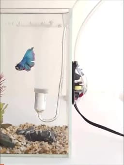 Portable Aquarium Mini Oxygen Pump Usb Charging Port Shock-absorbing Low Noise Fast Heat Dissipation Fishbowl Oxygenation Pump