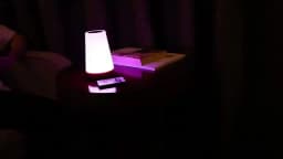 Night Light RGB 13 Color Changing Remote Control Touch Dimmable Lamp Portable Table Bedside Lamps USB Rechargeable Night Lamp