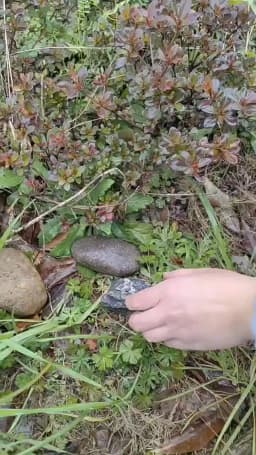 Garden Stone Hide a Spare Key Fake Rock Camouflage Stone Diversion Looks Like Real Stone Safe for Outdoor Yard, Geocaching