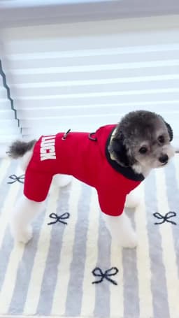 Waterproof Pet Jumpsuits Winter Fleece Dog Clothes Coat with D-ring For Small Dogs Yorkshire Bichon Puppy Clothing ropa perro