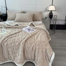 Warm Winter Blanket A Grade Heart Plush Taffeta Fleece Soft Thick Bed Blankets for Sofa Single Double Couple Furry Bedspread