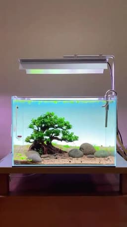 Week Aqua Aquarium Light M Series Plant LED APP Control Full Spectrum