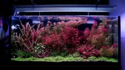 Week Aqua Light Shades S M V L P Series Z250 Z400 A430 Aquarium Planted LED Lights Shading Boards