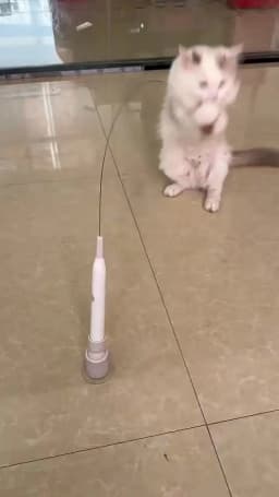 Electric Suction Cup Cat Toy Rotating Butterfly Flying Cat Self-entertaining Toy Long Rod Steel Wire Cat Teaser Toys