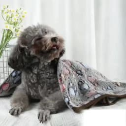 Soft Fluffy High Quality Pet Blanket Flannel Dog Sleep Blanket Paw Print Pattern Hamster Mat Warm Comfortable Cat Dog Blankets