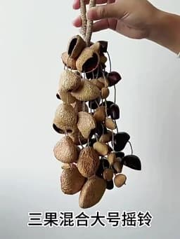 Nutshell Bell Hand Bell Meditation Sound Healing Handbell Natural Plant Indonesian Music Accompaniment Sound Therapy Instrument