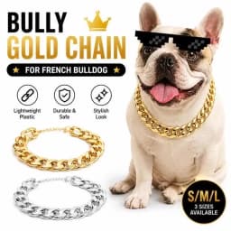 ABS Plastic Dog Collar Chain Diamond Inlay Sparkle Bulldog Necklace Cat Collars Pet Accessories Small Medium Large Dogs Golden