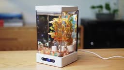 Smart Betta Fish Tank Mini Desktop Aquarium with Constant Heating Thermostatic Full Color LED Light Eco Night Lamp