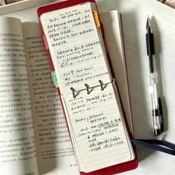 Retro Red Black Brown Line Loose-leaf Notebook Rose Vintage Story Journal High Beauty Multi-functional Horizontal Line Diary