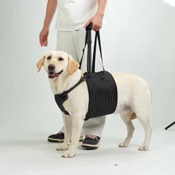 Dog Lift Harness Adjustable Reflective Rehabilitation Support Sling Mobility Aid for Old Injured Medium Large Dog Walking Assist