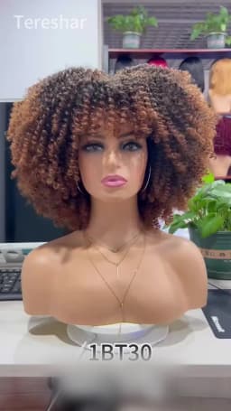 Tereshar Synthetic Short Curly Wigs for Black Women Afro Wig With Bangs Short Afro Kinky Curly Wig for Daily Party Wear