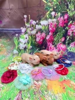 12cm Cute Mini Reborn Piglet Full Body Silicone Piglet Dolls With 3 Sets Mini Outfits for Each Bebe Reborn Smile Piglet
