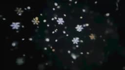 USB Powered Snowflake Projector Light White Snow Pattern Rotating LED Stage Lamp for Holiday Party Christmas Decor New Year Gift