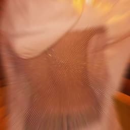 Women's Fashion Translucent Pullover Sweatshirt American Gothic Sexy Hollow Mesh Hoodie Y2K Clothes Casual Long Sleeves Jacket