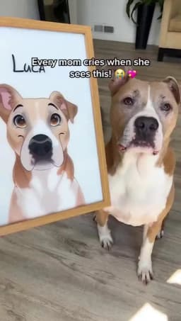 Custom Pet Photo Frame Lamp Personalized Pet Portrait And Name Night Light Dog Cat Memorial Photo Frame Wall Room Decor Gift