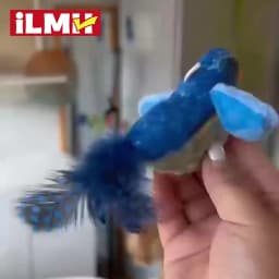 iLMH Indoor Interactive Birds Toy for Cat Chasing Teasing Toy Sounding Catnip Cat Teaser Toy Self-hilarity Wall Hanging Cat Toy