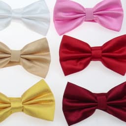 HUISHI Bowtie Mens Tie Solid Check Fashion Bowties Banquet Wedding Black Gold Red Green Pink Blue White Classic Bow Ties For Men