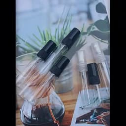 Bulk Pack 5/10/20/50/100PCS 5ML Black Glass Spray Bottles with 4 Essential Accessories - Dropper Funnel Dispenser Syringe